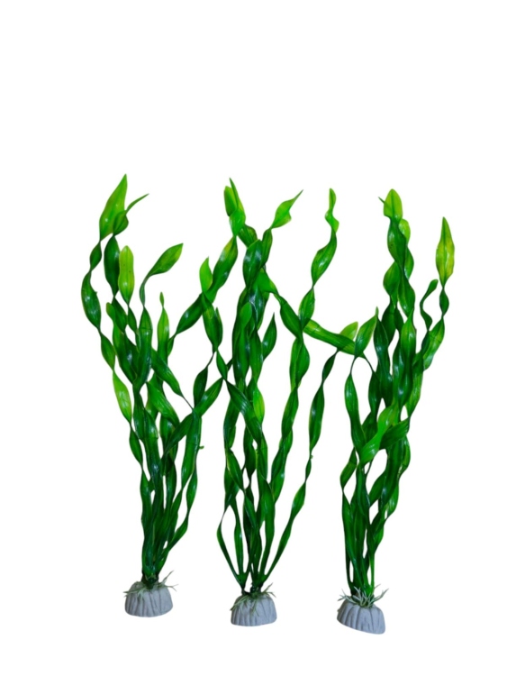  نباتات اصطناعية لحوض السمك