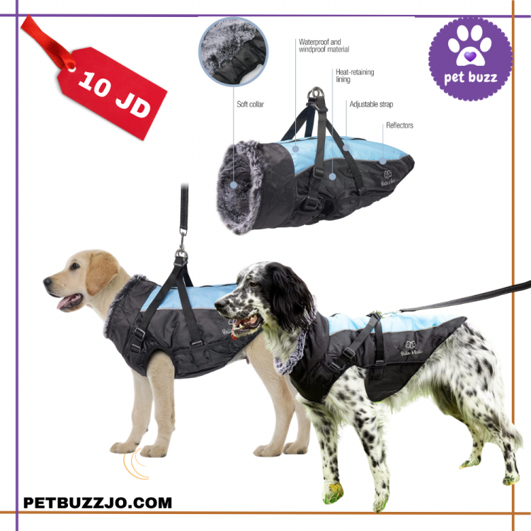 Amazing dog waterproof jacket form xl to 6 xl