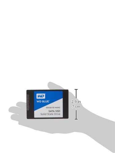 WD 250GB BLUE SSD