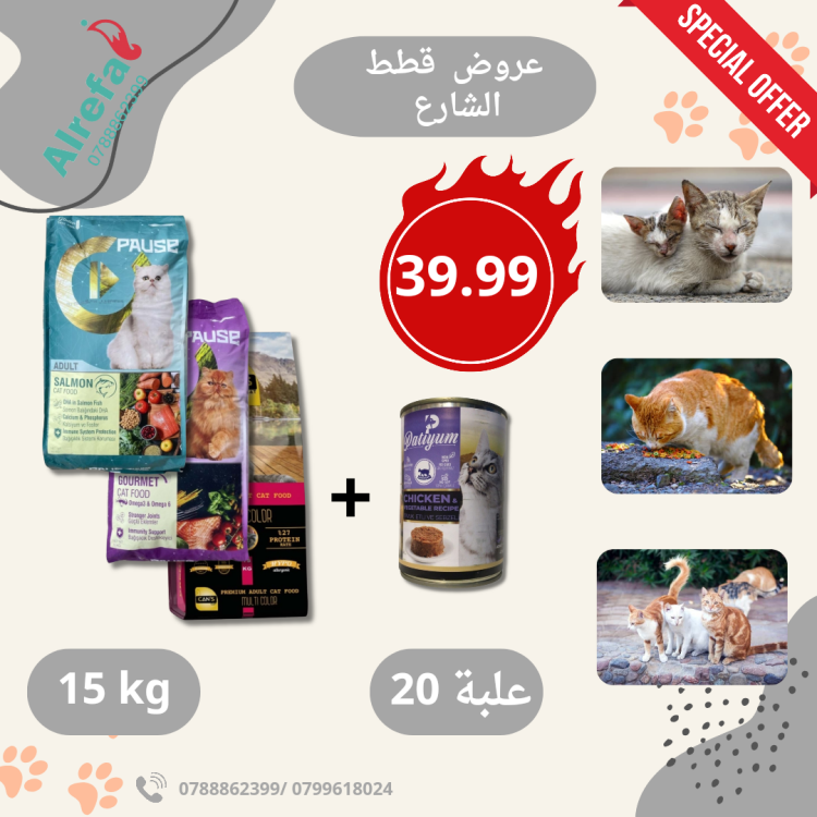 عرض قطط الشارع 