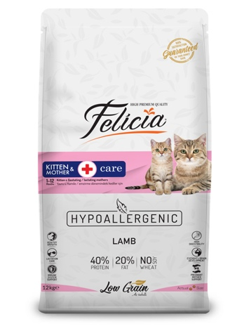 Felicia kitten and mother 12 kg