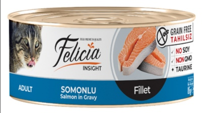 Felicia salmon in gravy