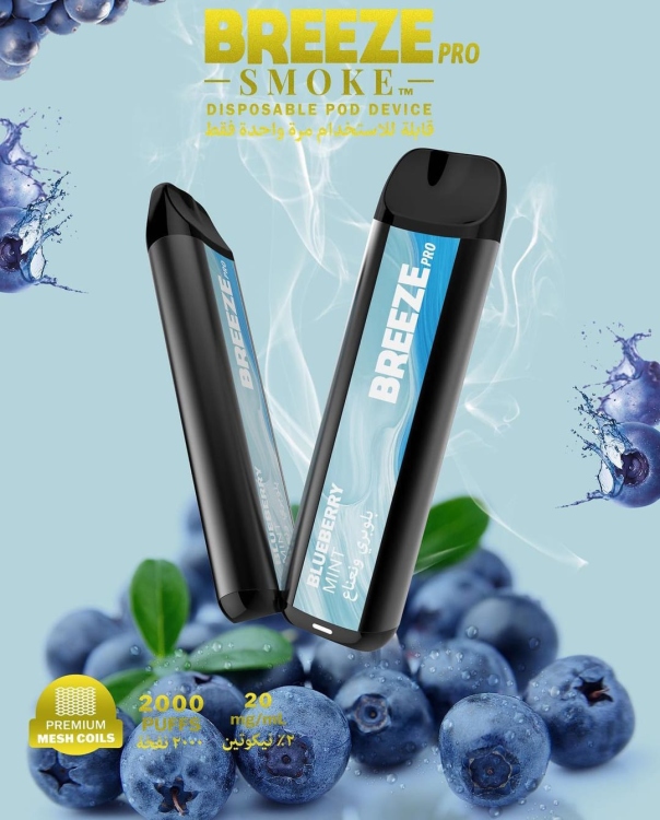 Breeze Pro BlueBerry Mint 2000 Puffs Disposable Vape