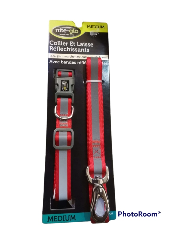 nite-glo collar and leash for dogs