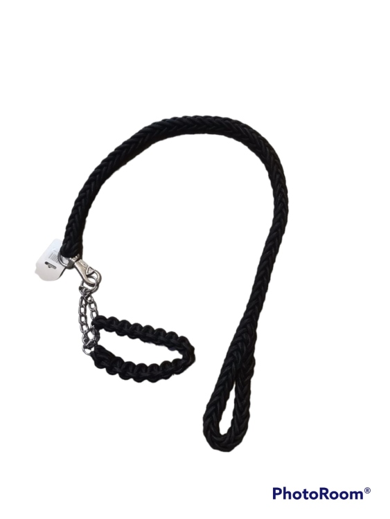 dog collar with leash Large 