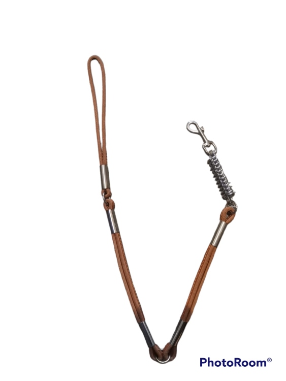 dog leash