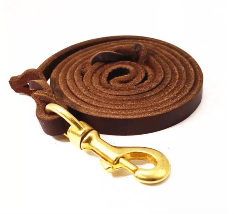  brown leash for dogs