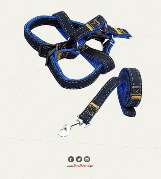 dog harness with leash Jeans