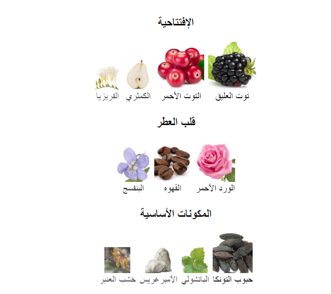 Genie Collection, Dolce&Gabbana The Only One