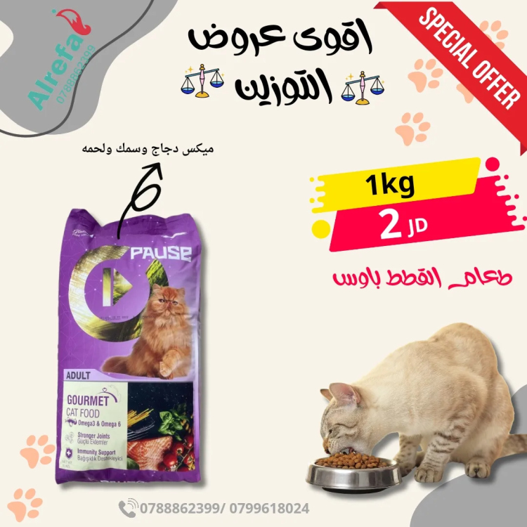 باوس توزين 