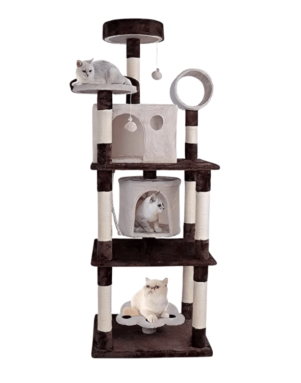 Patopa cat scratcher malti layers and home's 60*50*168 