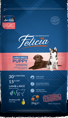 Felicia large breed puppy lamb 3k