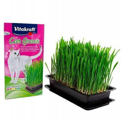 Vitakraft cat grass