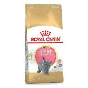 Royal Canin British kitten 2k