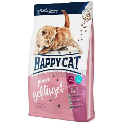 Happy cat junior 4k