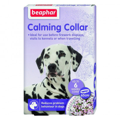 Calming collar dog