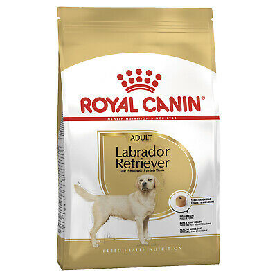 Royal Canin Labrador adult 12k