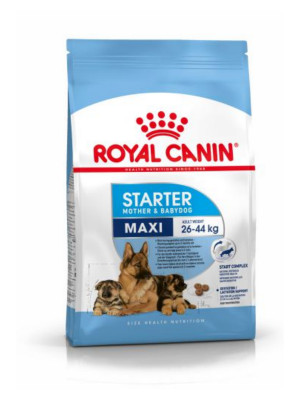 Royal Canin maxi starter 4k