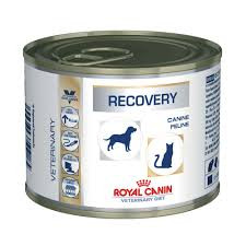 Royal canin  recovery 195g