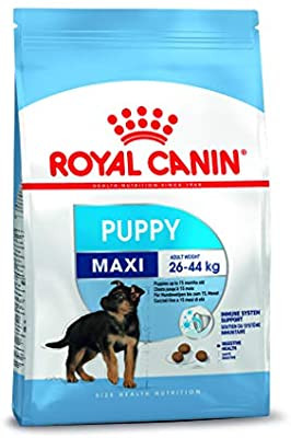 Royal Canin maxi puppy 1k