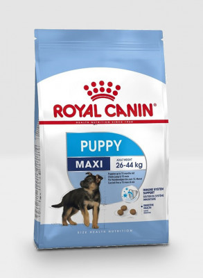 Royal Canin maxi puppy 10k