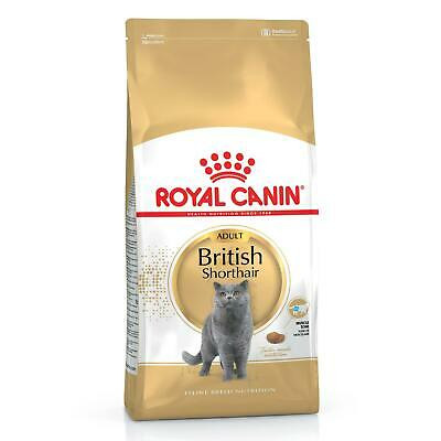 Royal Canin British Shorthair adult 2k