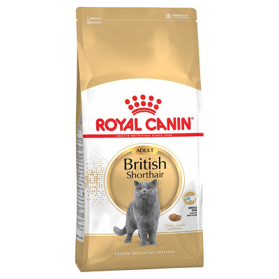 Royal Canin British Shorthair 4k