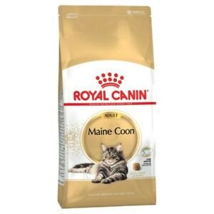 Royal Canin Maine coon 2k