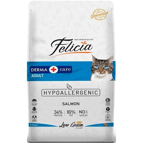 Felicia adult cat salmon