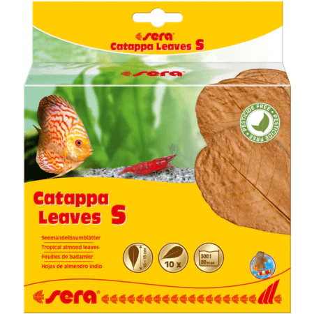 Sera Catappa Leaves S - Almond leaves