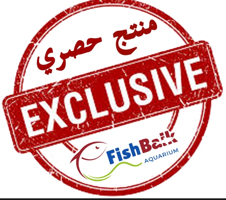 د. تانك ألغى لايت - إزالة ومنع الطحالب