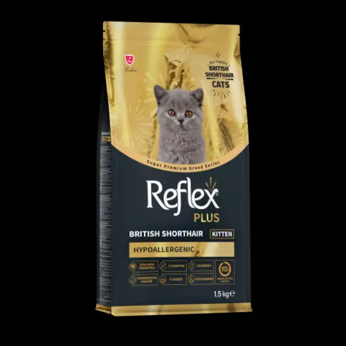 Reflex plus kitten british shorthair 