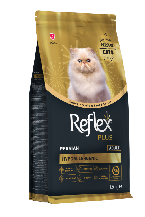 Reflex plus adult persian