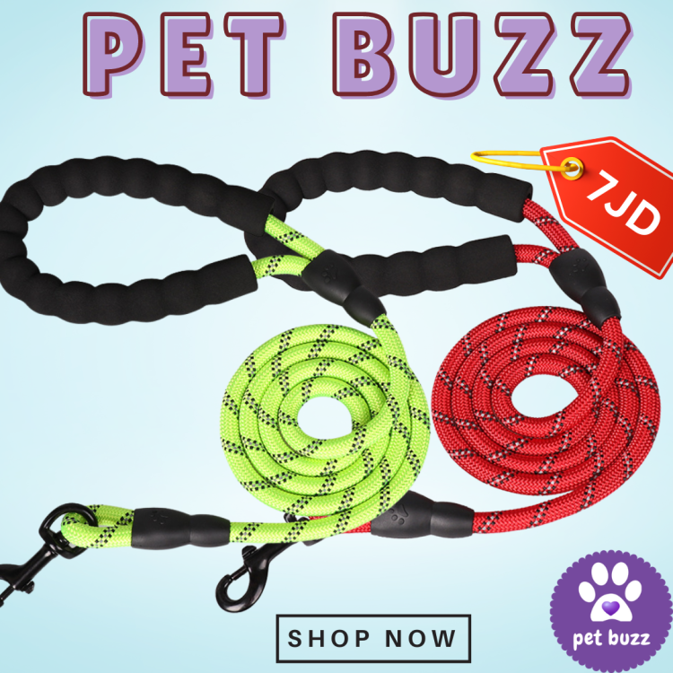 STRONG DOG LEASH ( S TO XL ) 