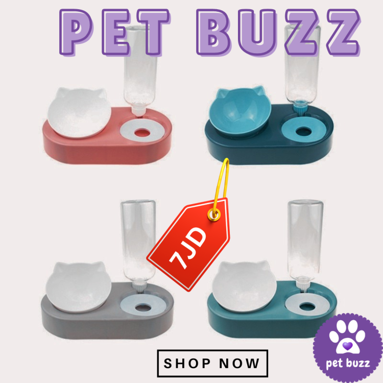 cute Pet double Feeder