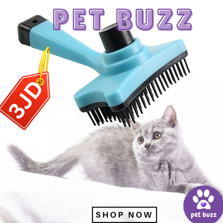 PET BRUSH PLASTIC WITH SELF CLEAN CLICK