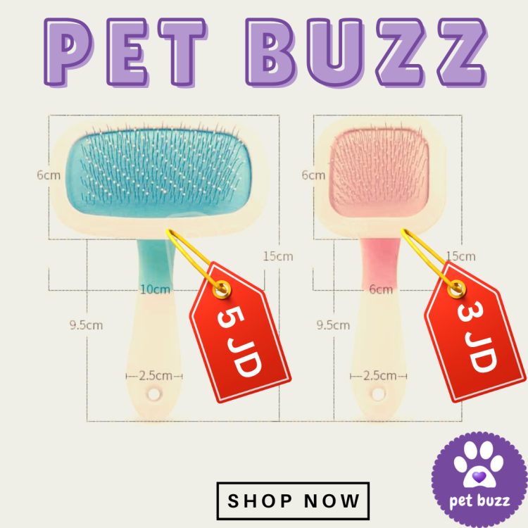 A Soft Dog Grooming Tool Brush for Dogs and Cats!