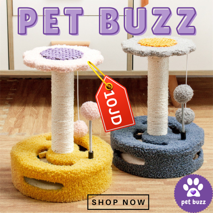 amazing cat scratcher (35cm, 26 , 20 ) 