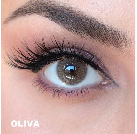 MILANO OLIVA