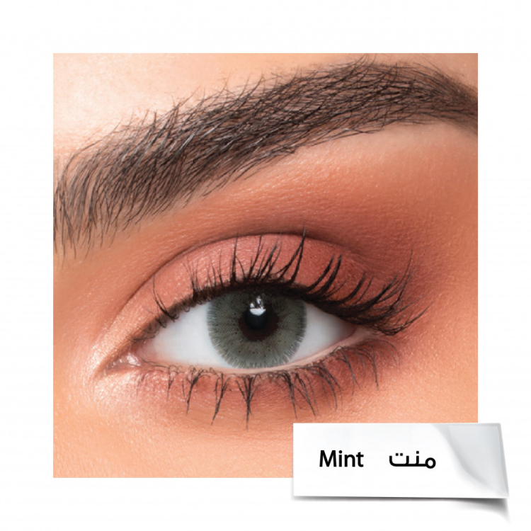 مينت -mint