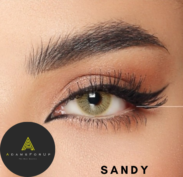 ساندي-sandy