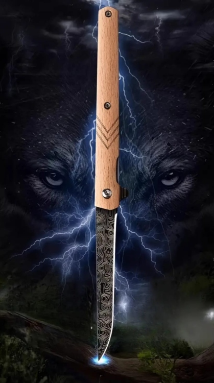 Folding Knife 