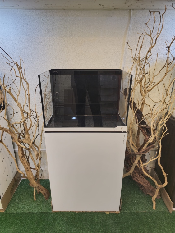 حوض ذكي من شركة Cleair Aquatics البريطانية 