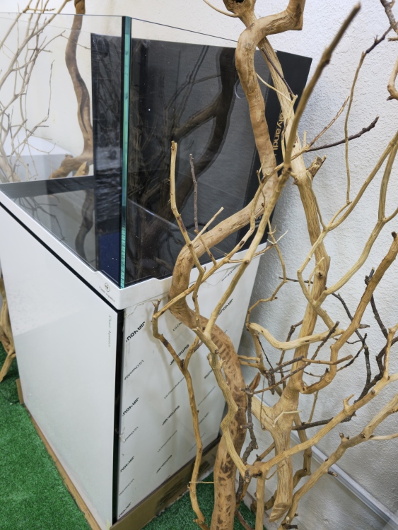 حوض ذكي من شركة Cleair Aquatics البريطانية 