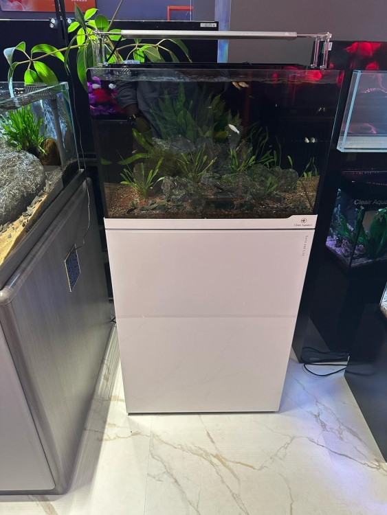 حوض ذكي من شركة Cleair Aquatics البريطانية 
