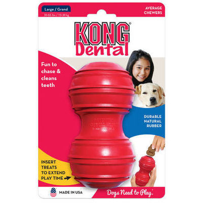 kong dental for dog
