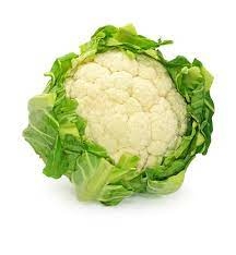 زهره كغم