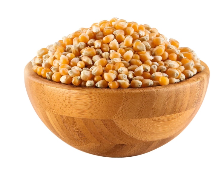 ذره بوشار كغم