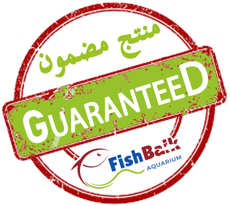 حوض ذكي بمواصفات فريدة 