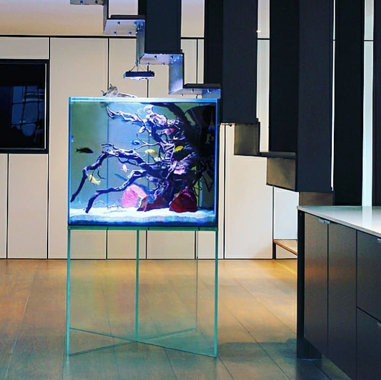 fish tank with glass stand 50*40*40 cm